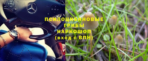 первитин Михайлов