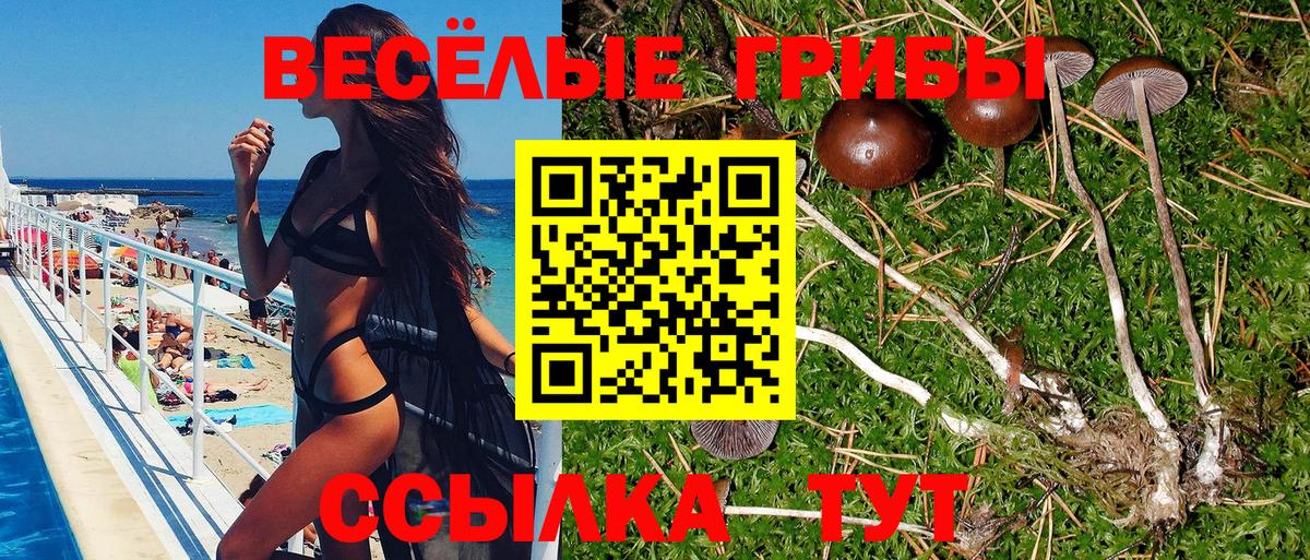 Псилоцибиновые грибы Cubensis  Вход с VPN  Севастополь 